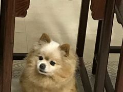 -付掌柜在成都·热炒砂锅集(金禾店)
