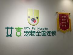 -艾吉宠物医院·疑难杂症转诊中心·猫友好(碧江路院)
