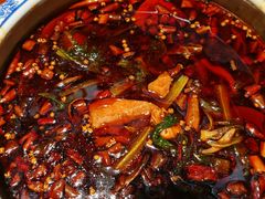 -红辣椒·川菜·火锅(张杨路店)