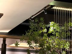 -杏花村水席楼·洛阳水席(老城十字街店)