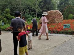 -长白岛森林公园