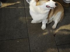 -笑来喜馄饨小笼工坊店(湖滨街店)