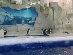 -华夏文旅海洋公园