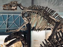 -湖南省地质博物馆