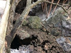-牛鱼嘴原始生态风景区