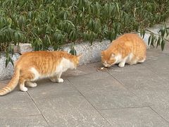 -晓港公园