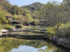 -云溪植物园