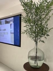 -佳颜轻医美·美学抗衰中心