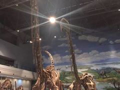 -自贡恐龙博物馆