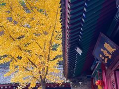 -少华山国家森林公园