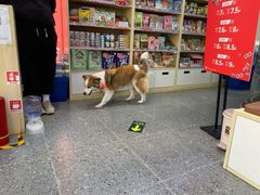 -宠物家(大兴旧宫店)