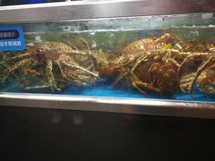 -盒马鲜生(大成店)