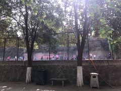 -西安市纺织公园