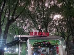 -重庆市江北嘴中央商务区中央公园