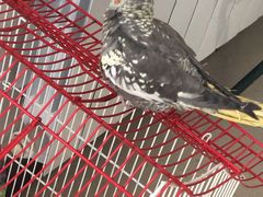 -三旗百汇商品城