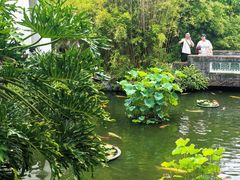 -东莞市可园博物馆