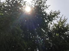 -上海静安大悦城