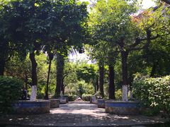 -广州神农草堂中医药博物馆