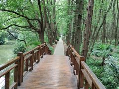 -同里国家湿地公园