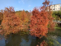 -青山湖景区