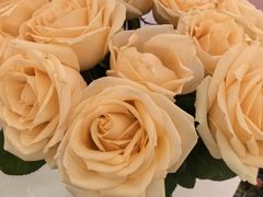 -摩登百货(岗顶店)