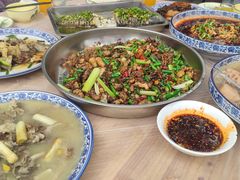 -铁山坪森林公园