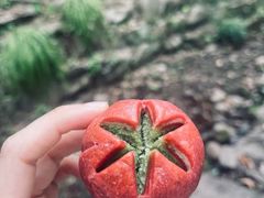 -南宋胡记(杭州灵隐寺店)