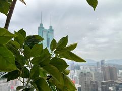 -百时乐餐厅(京基100大厦店)