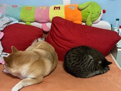 -INLOVE KTV(爱琴海店)