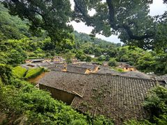 -杨家堂村