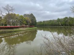 -上海海湾国家森林公园
