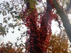 android_upload_pic-八大关景区