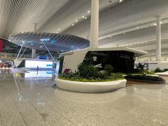 -广州白云国际机场-T2航站楼