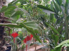 -石家庄市植物园