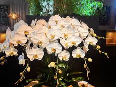 -庐灶江南·江南菜·四合院Bistro(东直门·华侨夜泊君亭店)