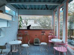 -喵屿·大理花园猫咖