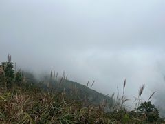 -惠东观音山