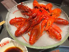 精品冰镇龙虾-红盔甲·小龙虾(人民广场店)