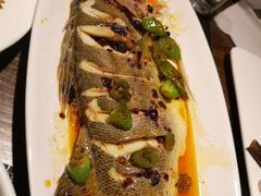 安徽臭鱼-七菜馆·东北菜·蒸饺(文体路店)