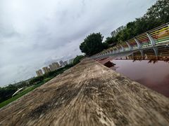 -府河摄影公园
