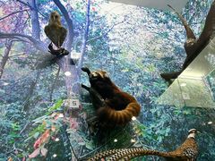 -国家自然博物馆