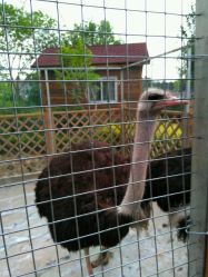 -萌宠亲子动物乐园(槐房万达店)