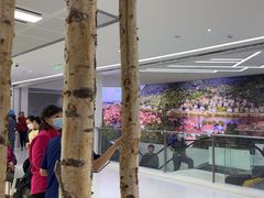-极简口腔(总院)
