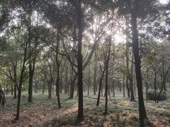 -四川大学(江安校区)