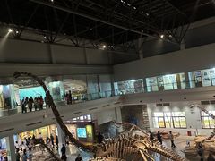 -自贡恐龙博物馆