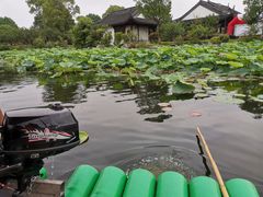 -上海海湾国家森林公园