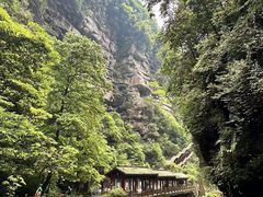 -碧峰峡风景区