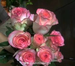 -HEYAN荷妍专业脱毛连锁机构