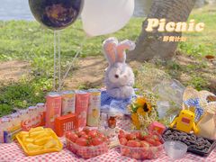 -上海共青森林公园