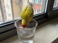 -雨林宠物医院 非犬猫异宠专科